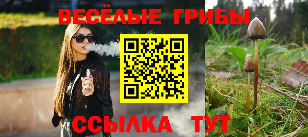 Галлюциногенные грибы мицелий Серов