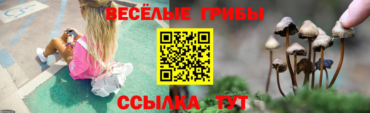 Серов  Галлюциногенные грибы мицелий  купить наркотик  Галлюциногенные грибы прущие грибы  Вход с VPN 