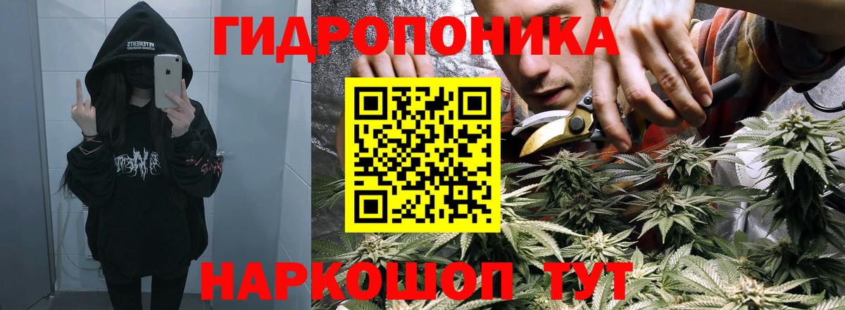 Бошки Шишки сатива  Вход с VPN  Конопля конопля  Серов  Шишки марихуана гибрид 